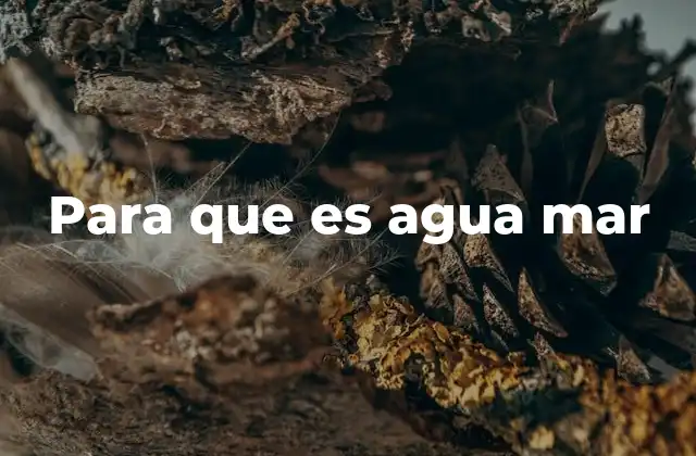 El papel del agua marina en el sistema terrestre