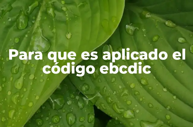 Para que es Aplicado el Código Ebcdic