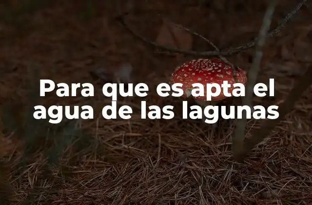 Para que es Apta el Agua de las Lagunas
