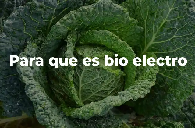 Para que es Bio Electro