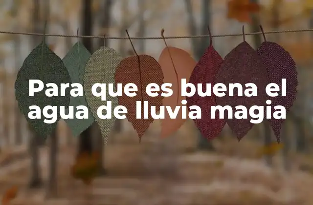 Para que es Buena el Agua de Lluvia Magia