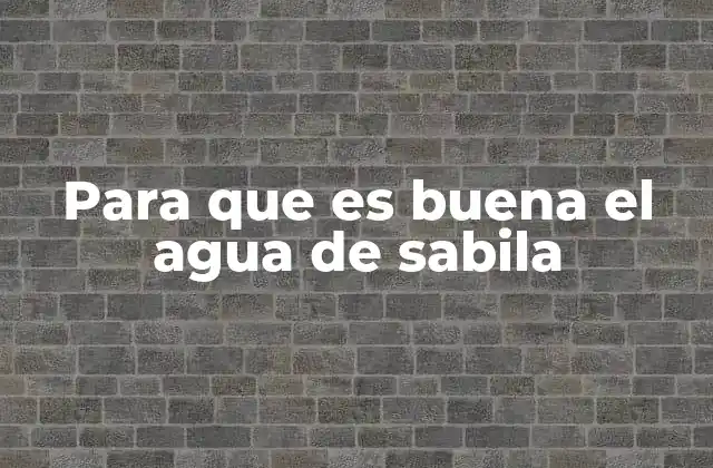 Para que es Buena el Agua de Sabila
