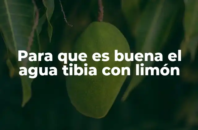 Para que es Buena el Agua Tibia con Limón 2 La alianza entre el agua y el limón