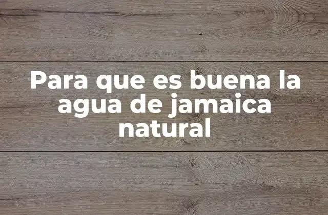 Para que es Buena la Agua de Jamaica Natural
