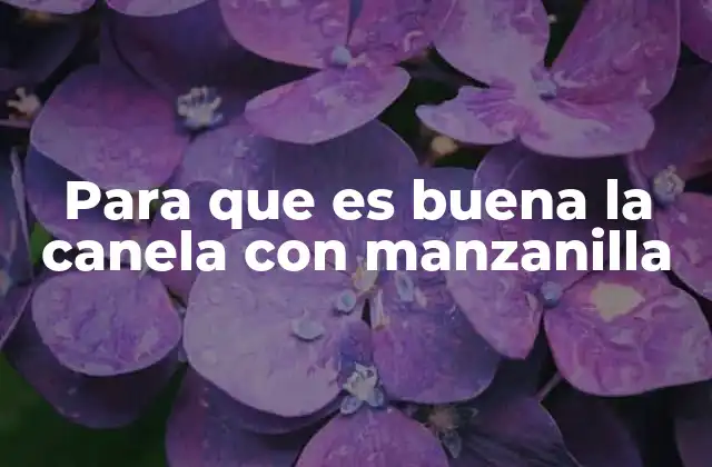 Para que es Buena la Canela con Manzanilla