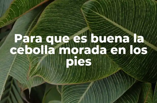 Beneficios de la cebolla morada aplicada en los pies