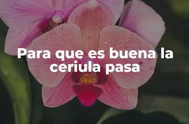 Beneficios de consumir ceriula pasa en la dieta diaria