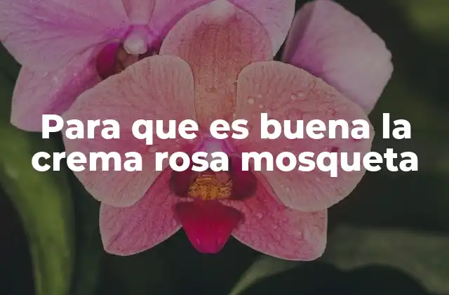 Para que es Buena la Crema Rosa Mosqueta