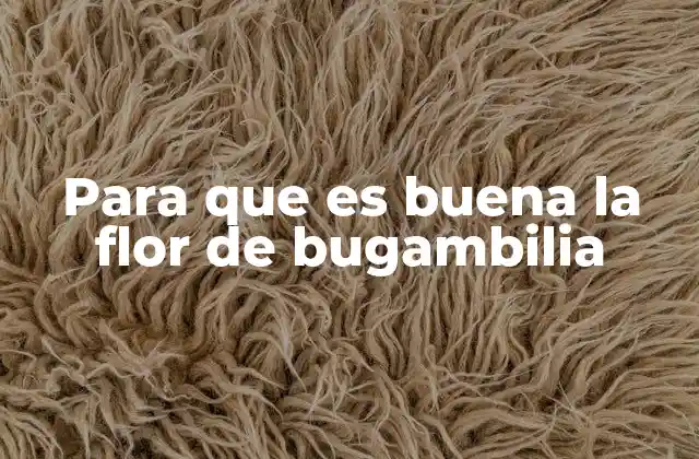 Beneficios de la bugambilia para la salud