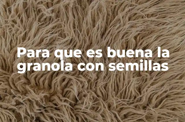 Para que es Buena la Granola con Semillas 2 La importancia de los ingredientes en la granola con semillas