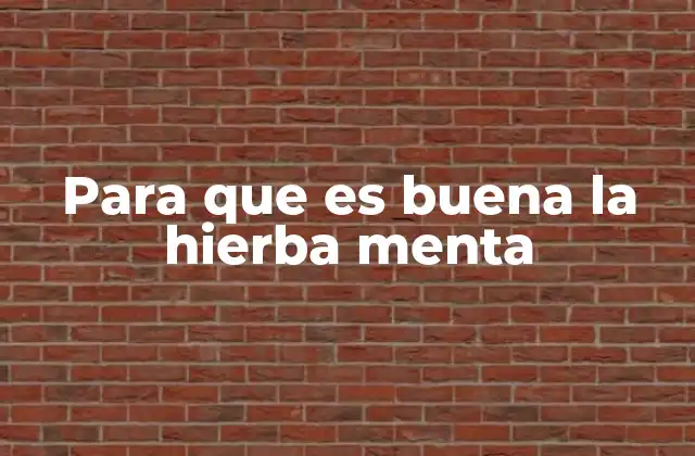 Para que es Buena la Hierba Menta