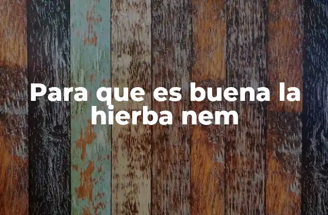 Para que es Buena la Hierba Nem