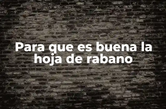 Para que es Buena la Hoja de Rabano