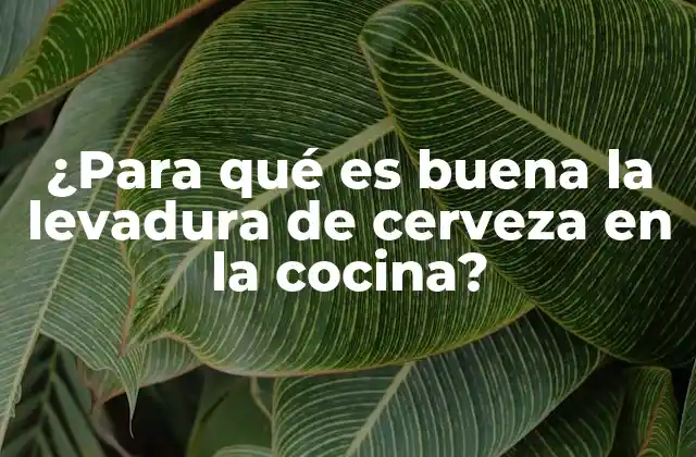 ¿para Qué es Buena la Levadura de Cerveza en la Cocina?
