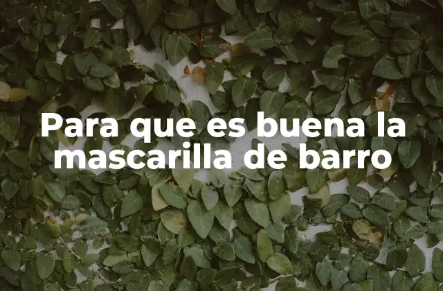 Beneficios de la mascarilla de barro para la piel