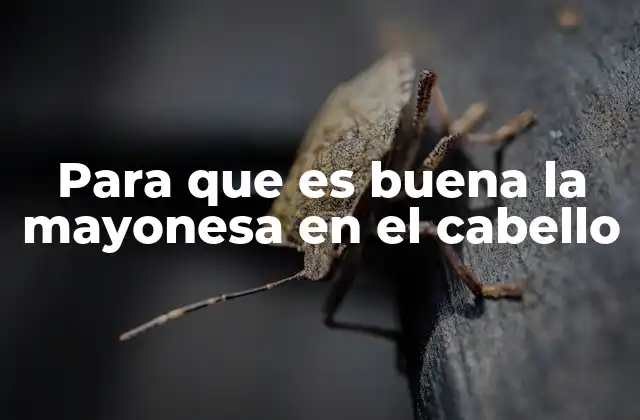 Para que es Buena la Mayonesa en el Cabello