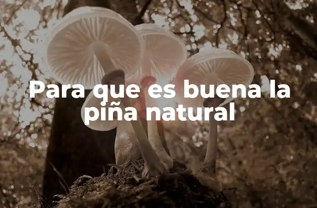 Para que es Buena la Piña Natural