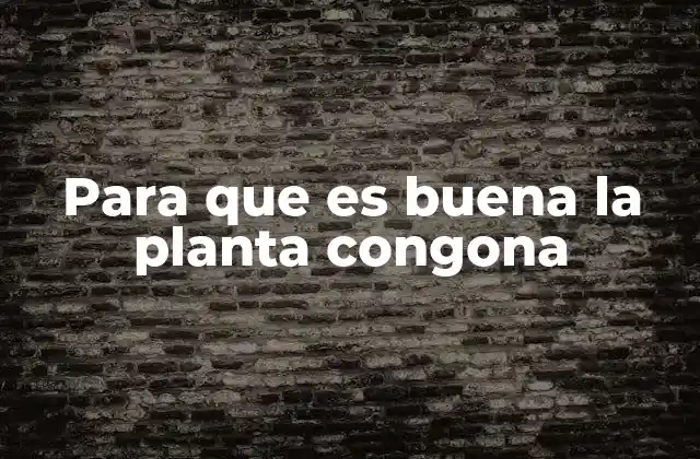 Para que es Buena la Planta Congona