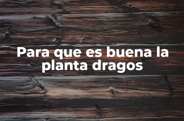 Para que es Buena la Planta Dragos