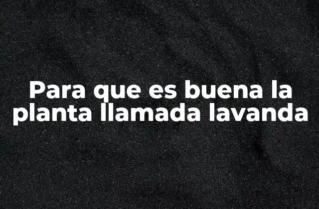 Beneficios de la lavanda para el bienestar emocional y físico
