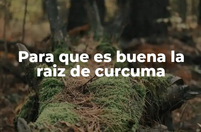 Para que es Buena la Raiz de Curcuma