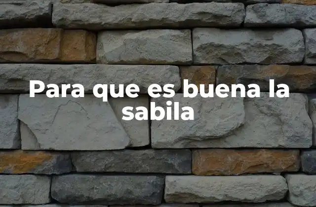 Para que es Buena la Sabila