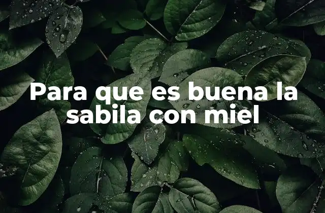 Para que es Buena la Sabila con Miel