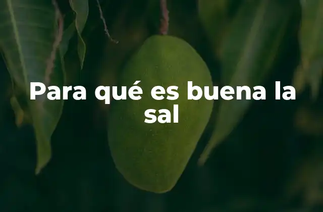 Para Qué es Buena la Sal