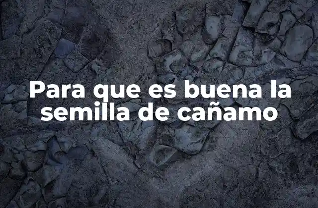 Para que es Buena la Semilla de Cañamo 2 Beneficios nutricionales de la semilla de cañamo