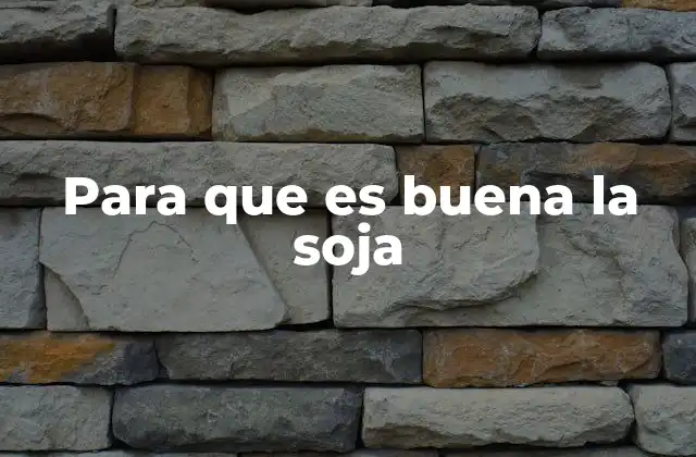 Para que es Buena la Soja 2 El rol de la soja en la nutrición moderna