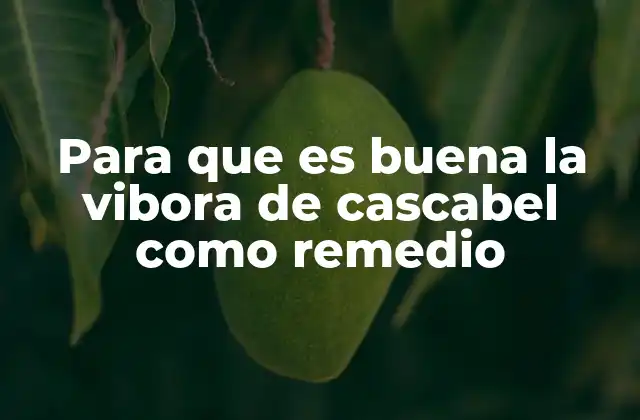 Para que es Buena la Vibora de Cascabel como Remedio