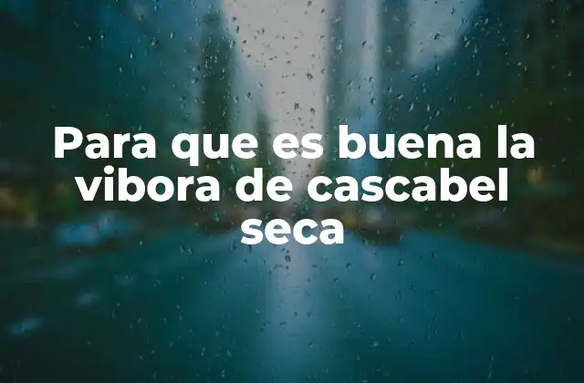 Para que es Buena la Vibora de Cascabel Seca