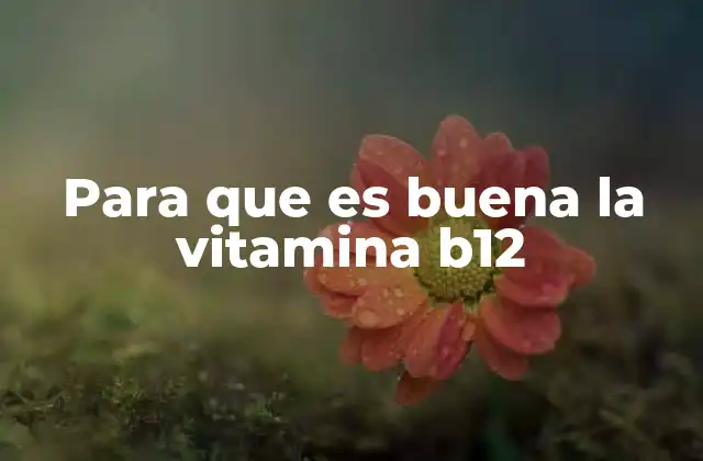 Para que es Buena la Vitamina B12 8 La importancia de mantener niveles adecuados de B12 en el organismo