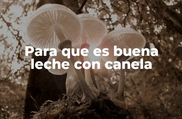 Los ingredientes de la leche con canela y sus beneficios individuales