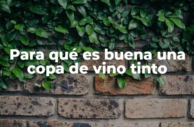 La relación entre el vino tinto y la salud cardiovascular