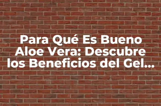 Para Qué es Bueno Aloe Vera: Descubre los Beneficios Del Gel de Aloe
