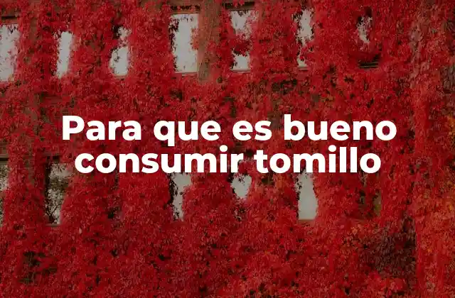 Para que es Bueno Consumir Tomillo 2 Beneficios del tomillo para la salud digestiva