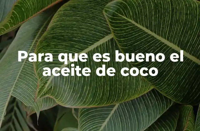 Para que es Bueno el Aceite de Coco