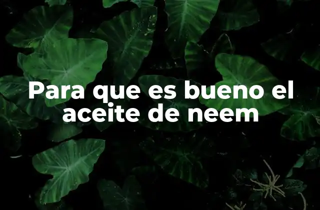 Para que es Bueno el Aceite de Neem