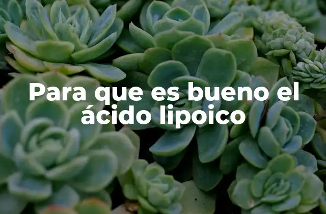 El ácido lipoico y su papel en la salud celular