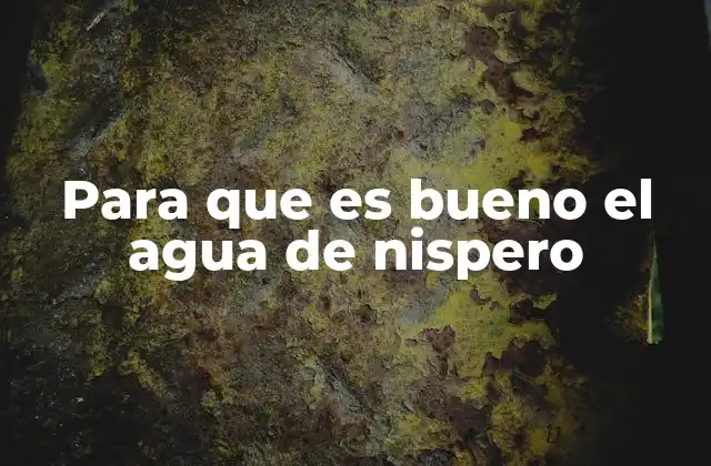 Para que es Bueno el Agua de Nispero