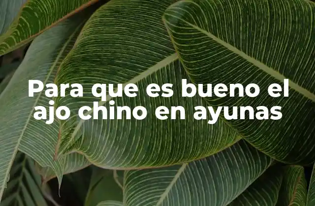 El ajo chino y su relación con la salud digestiva