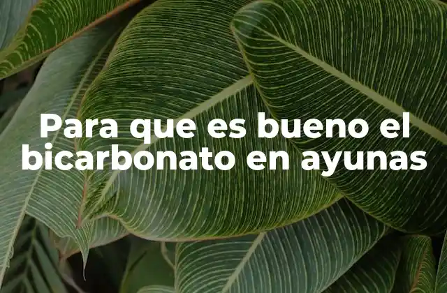 Para que es Bueno el Bicarbonato en Ayunas