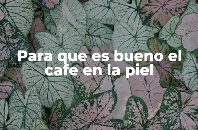Para que es Bueno el Cafe en la Piel