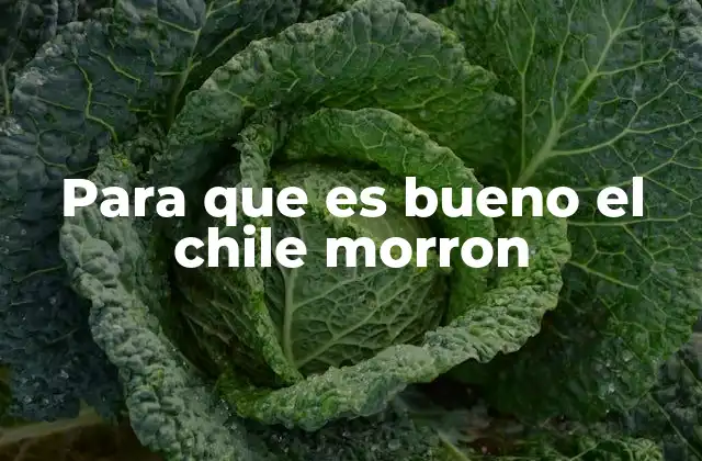 Para que es Bueno el Chile Morron