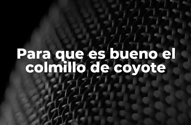 Para que es Bueno el Colmillo de Coyote