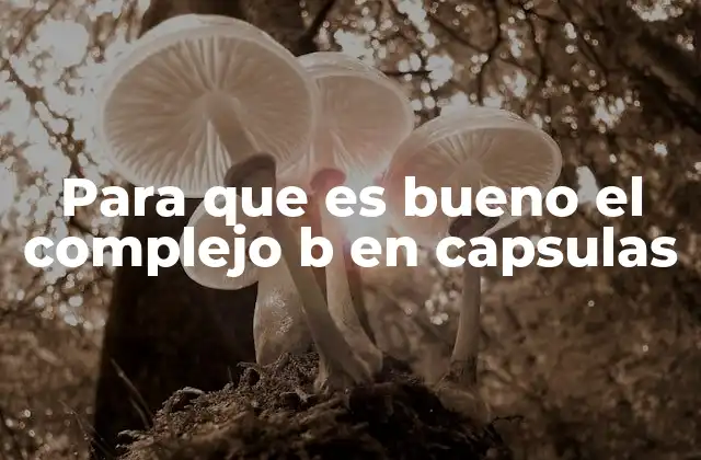 Para que es Bueno el Complejo B en Capsulas