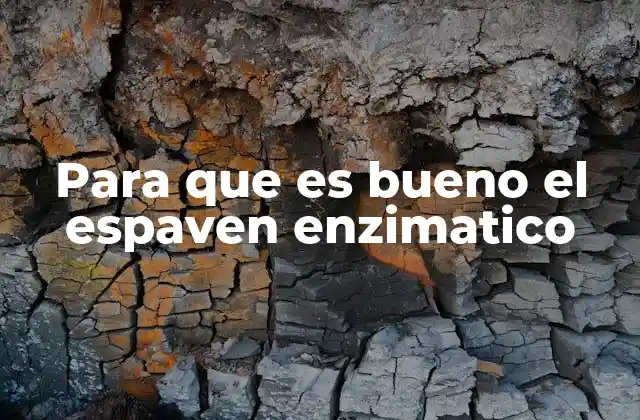 Para que es Bueno el Espaven Enzimatico