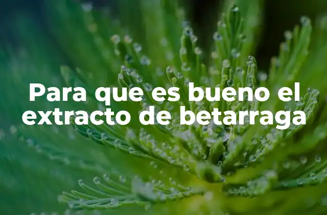 Para que es Bueno el Extracto de Betarraga
