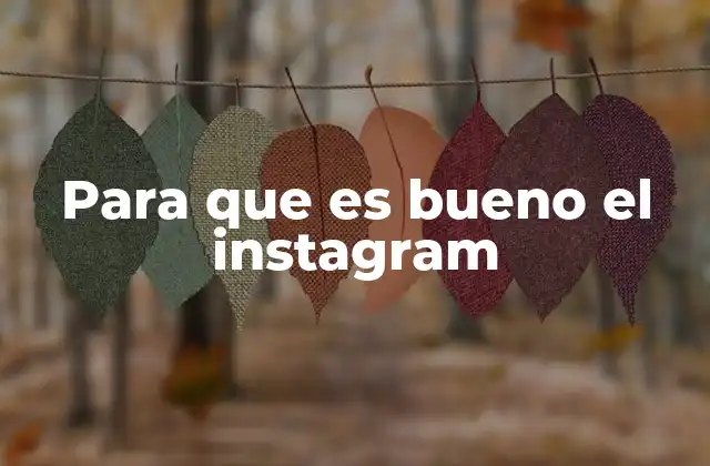 Para que es Bueno el Instagram 2 La plataforma detrás del éxito visual y la conexión social
